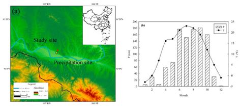 Water Use Strategies of Dominant Species (Caragana korshinskii and ...
