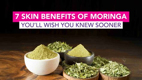 7 Skin Benefits of Moringa You’ll Wish You Knew Sooner – Dr.Rashel