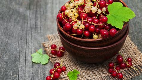 Download wallpaper table, bowl, red, currants, Olena Rudo, section food ...