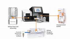 flow cell illumina dna sequencing illumina workflow part 3 library flow cell illumina dna sequencing illumina workflow part 3 library