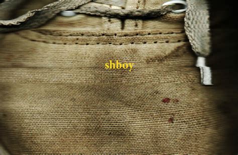 Shboy Machine 的图像结果