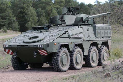 Boxer Vehicle Variants 的图像结果