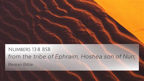 Numbers 13:8 BSB 4K Wallpaper - from the tribe of Ephraim, Hoshea son of