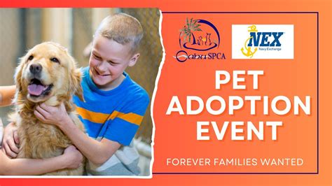 Oahu SPCA Pet Adoption Event- Navy Exchange Mall, Navy Exchange (Pearl ...