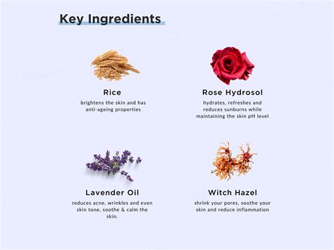 Buy RiceKraft Rice Water Hydrating & Pore Tightening Toner With Rose ...