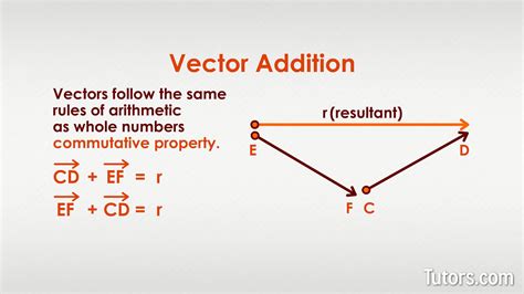 Image result for What Is Vector