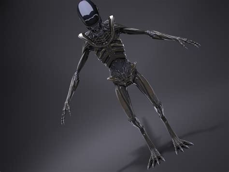 Alien Xenomorph 3D Model 的图像结果