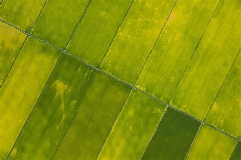 Types of Linear Programming 的图像结果