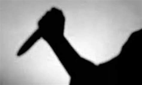 Intruder hacks retd engg to death, seriously injures 3 kin