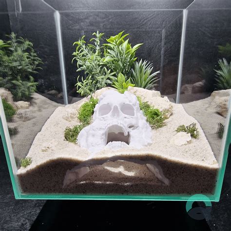 💀 Terrarium & Aquarium Skull Hide – Pirate Cave for Fish, Reptiles ...
