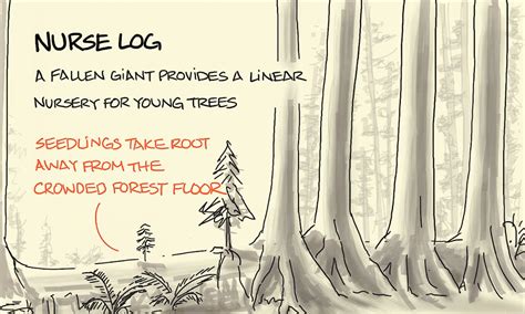 Plug-In Computing 的图像结果