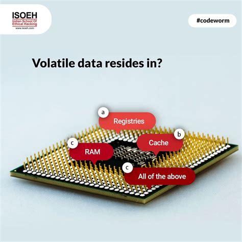 Codeworm 的图像结果