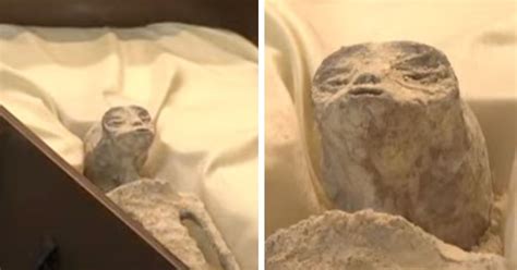 Image result for Alien DNA Found