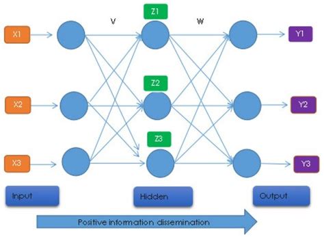 Computer Neural Algorithm Examples 的图像结果
