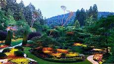 Nature Hd Wallpapers 1080p by Nature Hd Wallpapers 1080p Wallpaper Cave Nature Hd Wallpapers 1080p