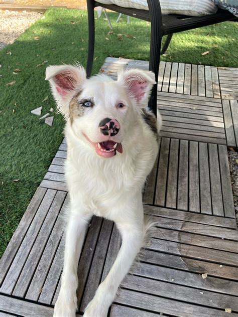 Hello everyone, Received 3 rating in performance review how much to ...