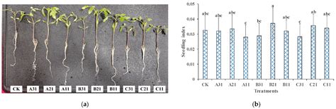 Effects of New Compounds into Substrates on Seedling Qualities for ...