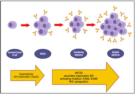Autoimmune Diseases and Plasma Cells Dyscrasias: Pathogenetic ...