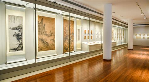 Museum Display 的图像结果