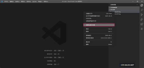 Image result for Vscode Diff