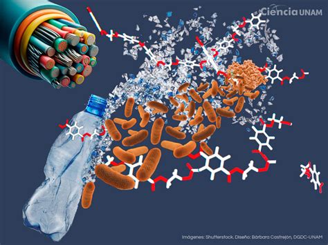 Rezultat imagine pentru ESG Examples