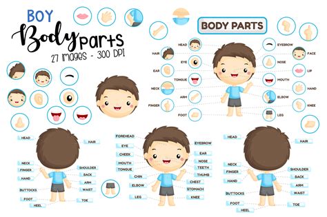 Boy Body Parts Clipart - Kids Body Part Graphic by Inkley Studio ...