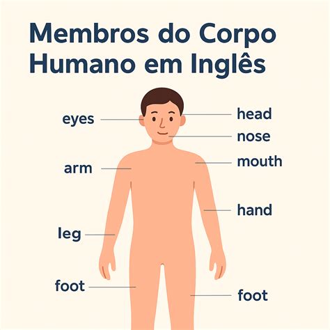 Used to em Inglês: Guia Completo com Exemplos e Exercícios