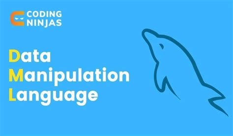 Data Manipulation Language 的图像结果