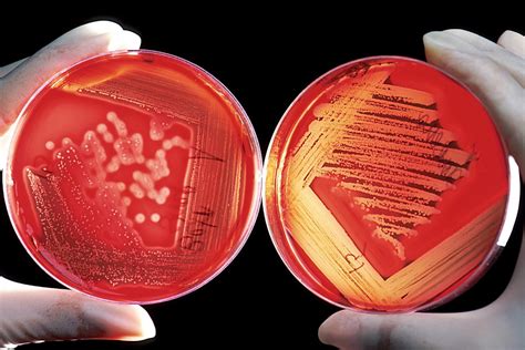 Image result for Bioinformatics Terminologies