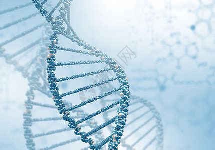 苏教版生物八年级下册 第22章 第一节 DNA是主要的遗传物质教案_21世纪教育网-二一教育