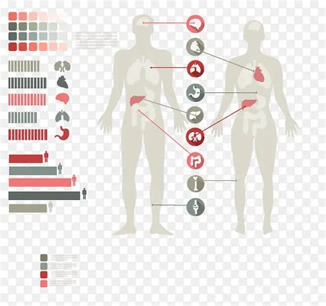 医学 的图像结果