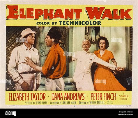 Elephant Walk - Movie Poster Stock Photo - Alamy