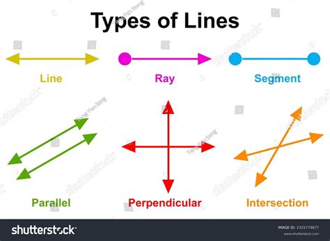 Different Types Lines Mathematics 3d Rendering Stock Illustration ...