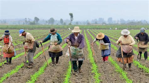 Gobierno y ganaderos colombianos firman pacto de tierras para reforma ...