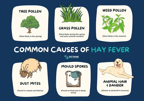 Is Hay Fever Contagious