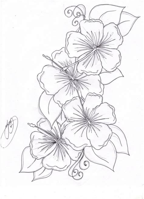 Hawaii Flower Drawing at GetDrawings | Free download