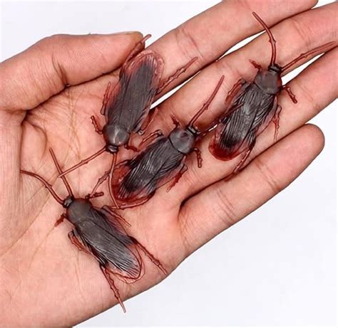 Buy Rs Store (Pack of 6)Realistic Toy Cockroach Prank Toy | Practical ...