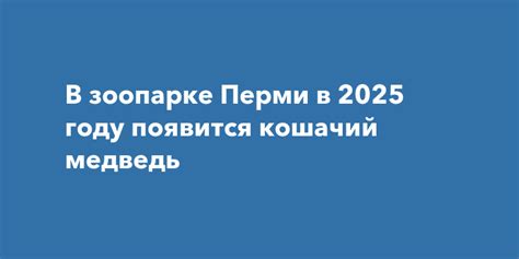 В зоопарке Перми в 2025 году появится кошачий медведь
