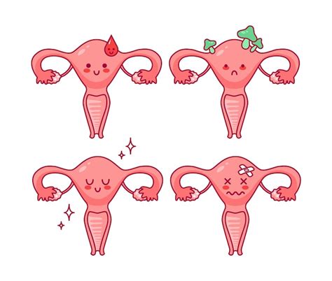 子宮 イラスト 画像 - Freepikで無料ダウンロード