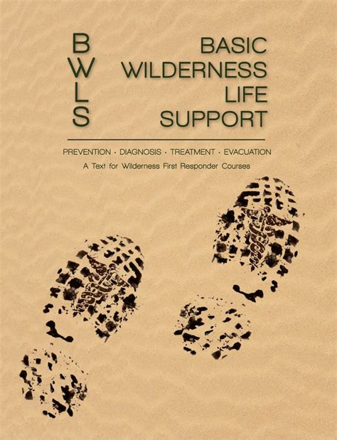 Basic Wilderness Life Support: A Text for Wilderness First Responder ...