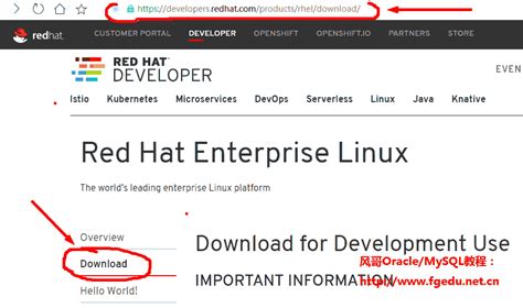 Red Hat Enterprise Linux RHEL 8.6 下载安装_redhat下载-CSDN博客