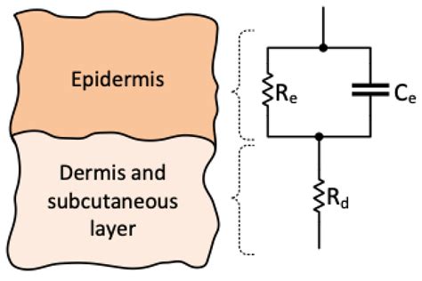 Multi-Modal Spectroscopic Assessment of Skin Hydration