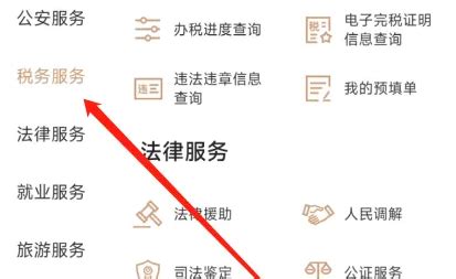 宁夏警方破获虚开发票案 涉案金额3亿余元-中国法院网