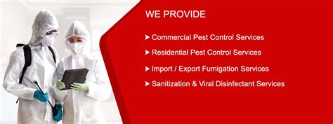 No.1 Pest Control Services, Pest Busters in mumbai, in navi mumbai, in ...