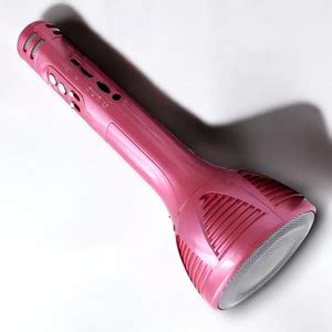 Sagaft X416 Hand Held Wireless Microphone HiFi Speaker with Inbuilt ...