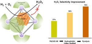 H2O2 Reactor 的图像结果