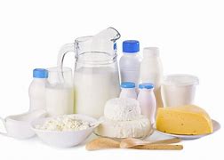 Image result for dairy