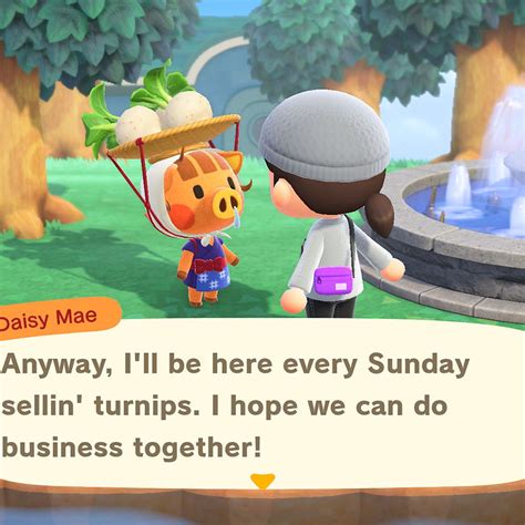 Daisy Animal Crossing