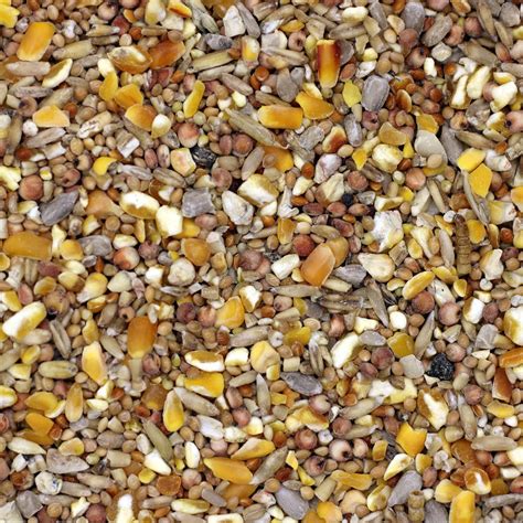 Peckish 60051246 Complete Seed and Nut No Mess Wild Bird Food Mix, 20 ...