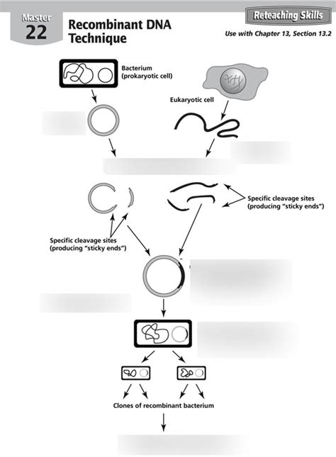 Recombinant DNA 的图像结果